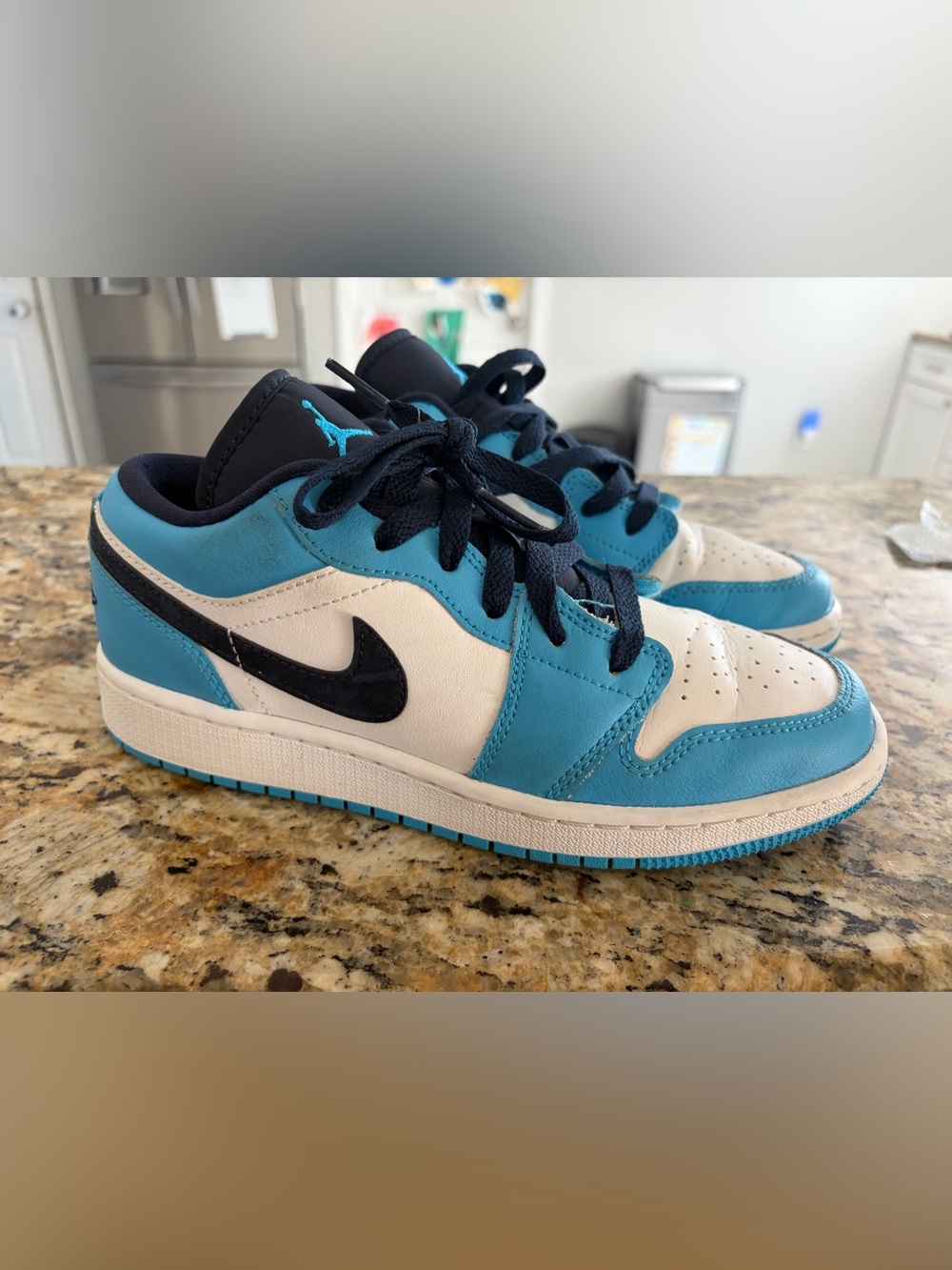 Jordan Kids Low Top Sneakers in Teal, White and Black